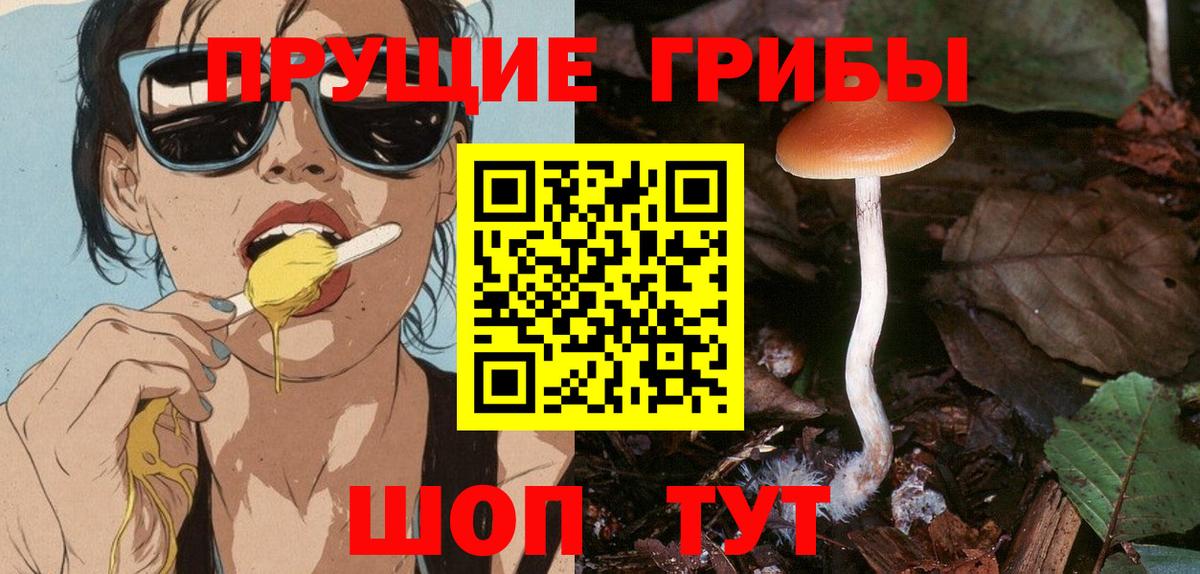 Псилоцибиновые грибы Cubensis  Псилоцибиновые грибы Psilocybine cubensis  Вход с VPN  Луховицы 