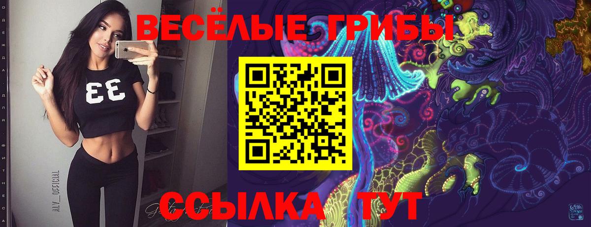 Псилоцибиновые грибы прущие грибы Луховицы